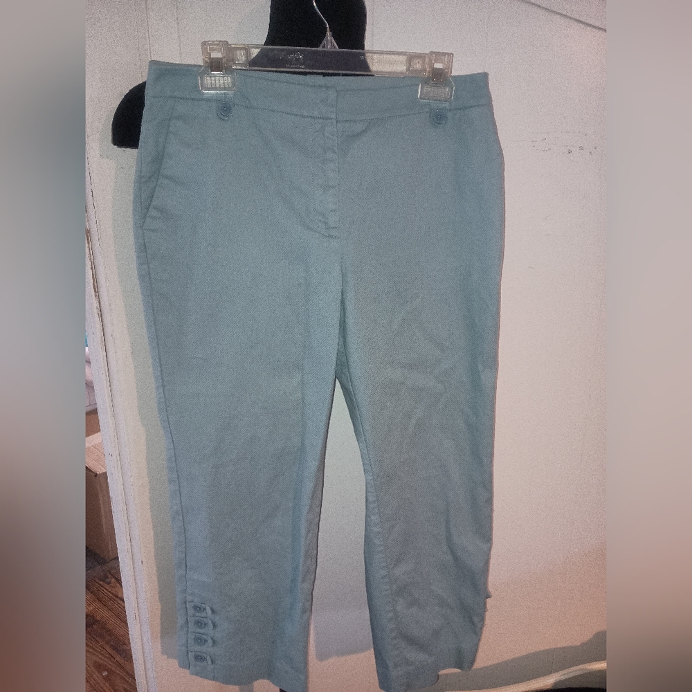 Blue modern Ankle pants size 10 #preppy #modern #classic